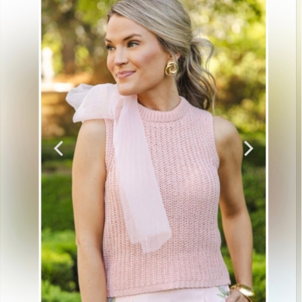 Zara Organza Bow Knit Top NWT